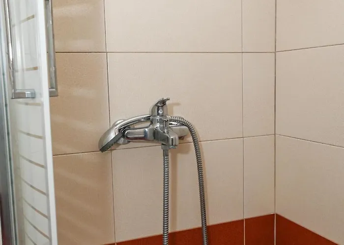 Navis * Triovasálos